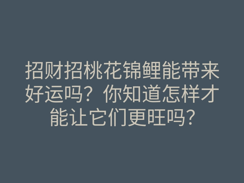 招财招桃花锦鲤能带来好运吗?你知道怎样才能让它们更旺吗?