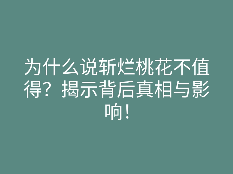 为什么说斩烂桃花不值得?揭示背后真相与影响!