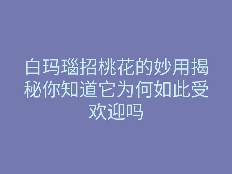 白玛瑙招桃花的妙用揭秘你知道它为何如此受欢迎吗