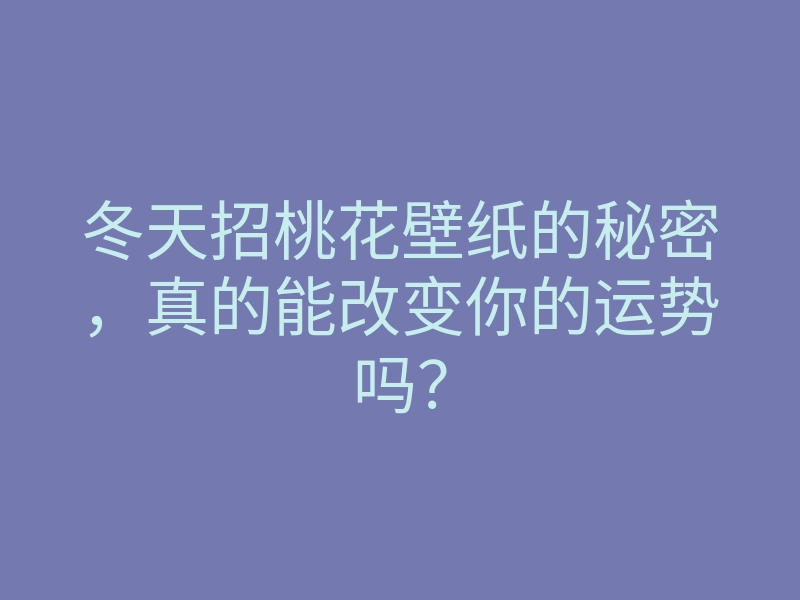 冬天招桃花壁纸的秘密,真的能改变你的运势吗?