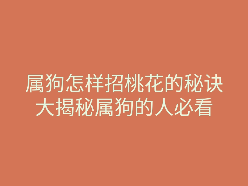 属狗怎样招桃花的秘诀大揭秘属狗的人必看