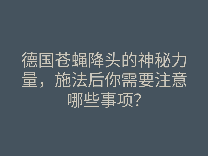 德国苍蝇降头的神秘力量,施法后你需要注意哪些事项?