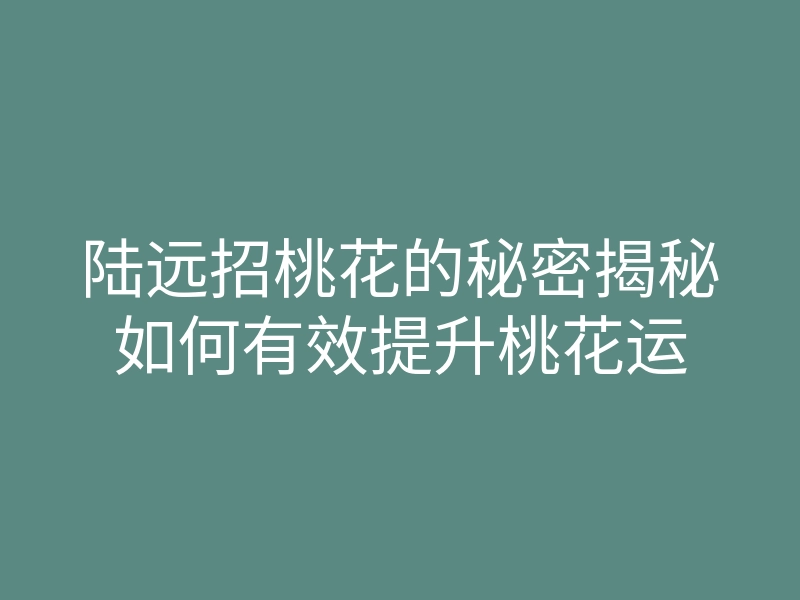 陆远招桃花的秘密揭秘如何有效提升桃花运