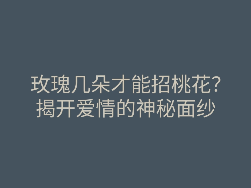 玫瑰几朵才能招桃花?揭开爱情的神秘面纱