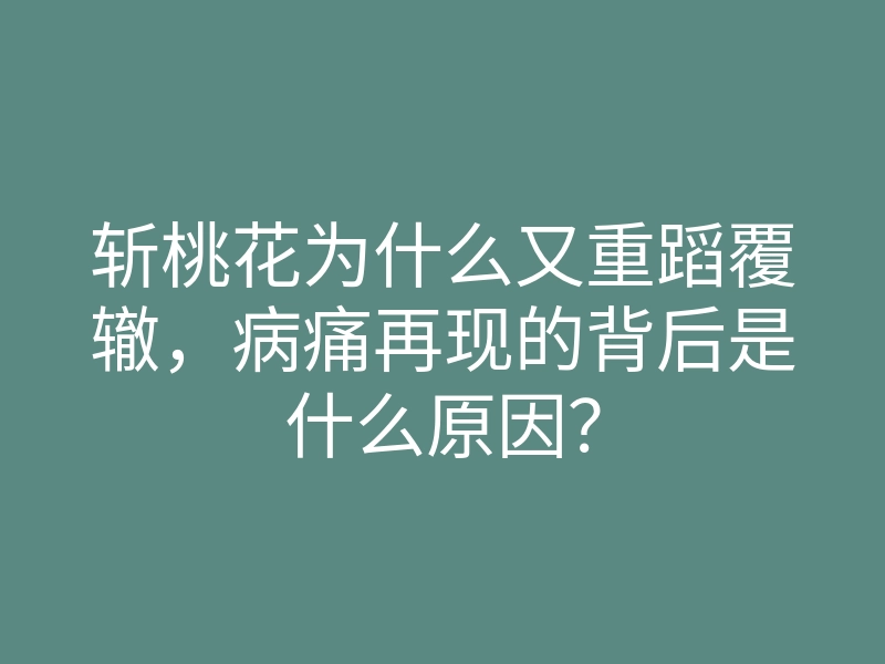 斩桃花为什么又重蹈覆辙,病痛再现的背后是什么原因?