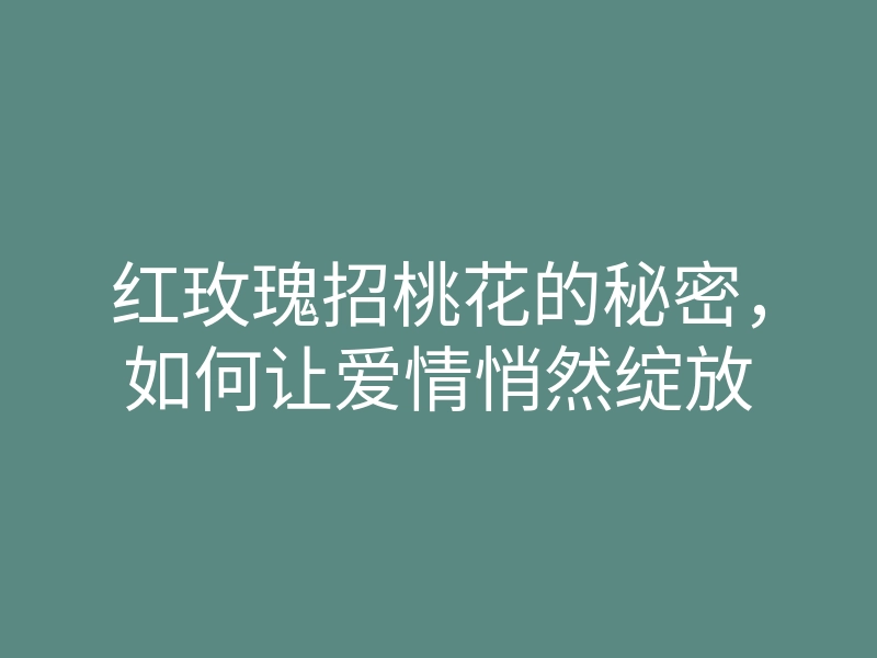 红玫瑰招桃花的秘密,如何让爱情悄然绽放