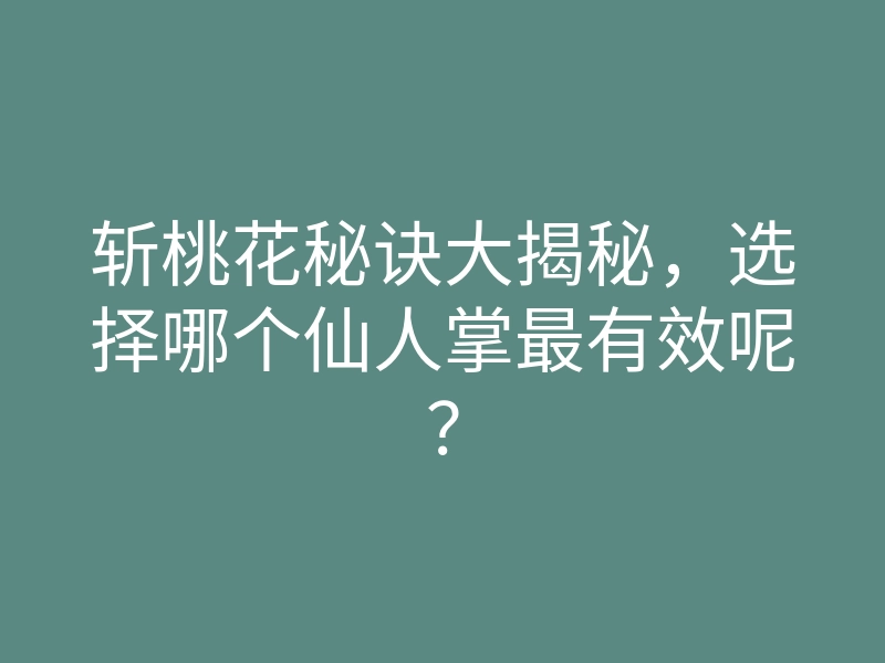 斩桃花秘诀大揭秘,选择哪个仙人掌最有效呢?