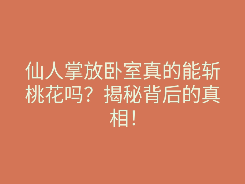 仙人掌放卧室真的能斩桃花吗?揭秘背后的真相!