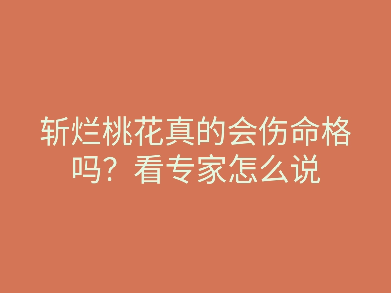 斩烂桃花真的会伤命格吗?看专家怎么说