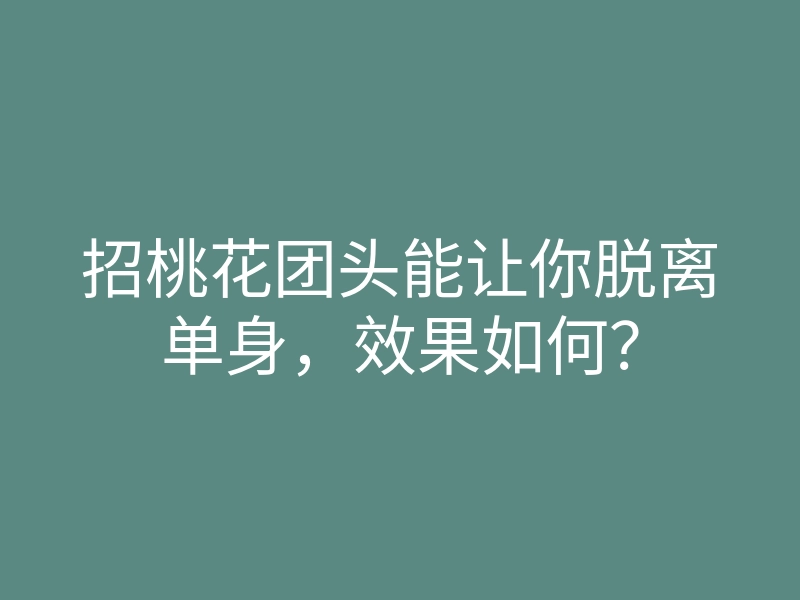 招桃花团头能让你脱离单身，效果如何？