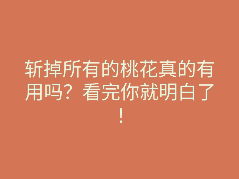 斩掉所有的桃花真的有用吗?看完你就明白了!