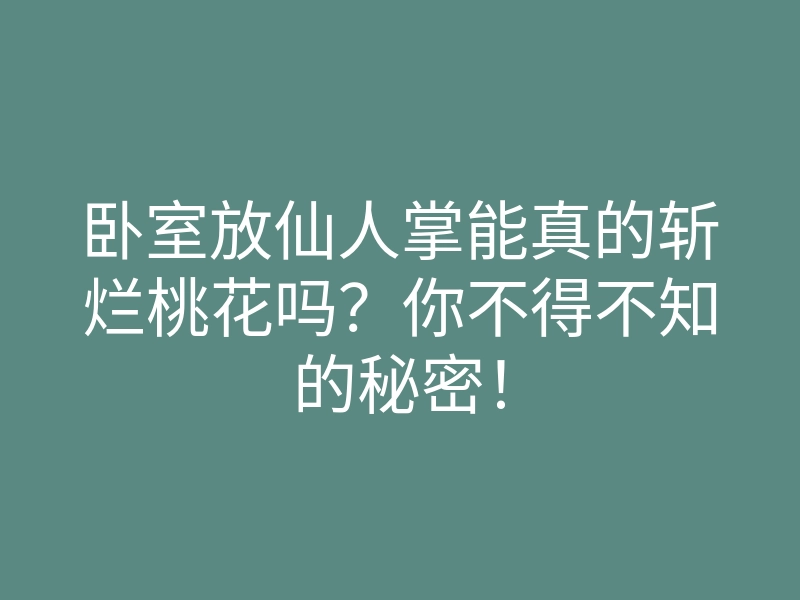 卧室放仙人掌能真的斩烂桃花吗？你不得不知的秘密！