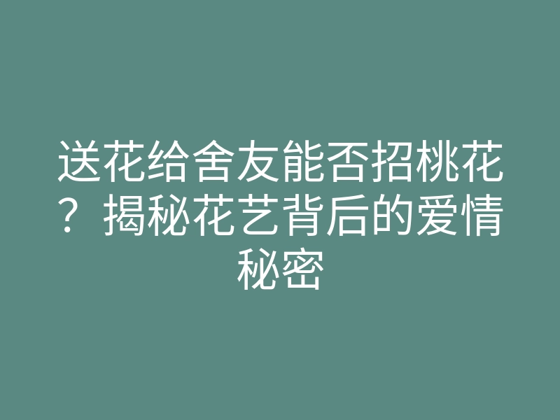 送花给舍友能否招桃花?揭秘花艺背后的爱情秘密