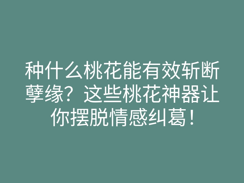 种什么桃花能有效斩断孽缘?这些桃花神器让你摆脱情感纠葛!