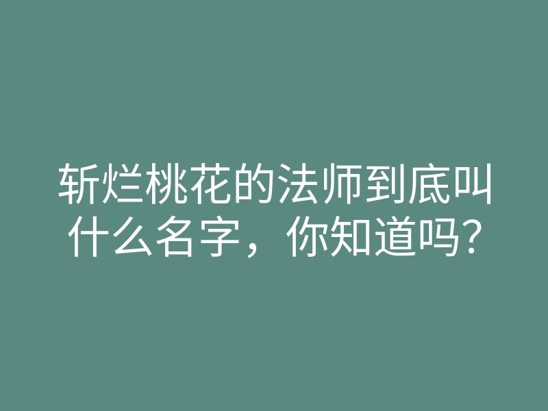 斩烂桃花的法师到底叫什么名字,你知道吗?