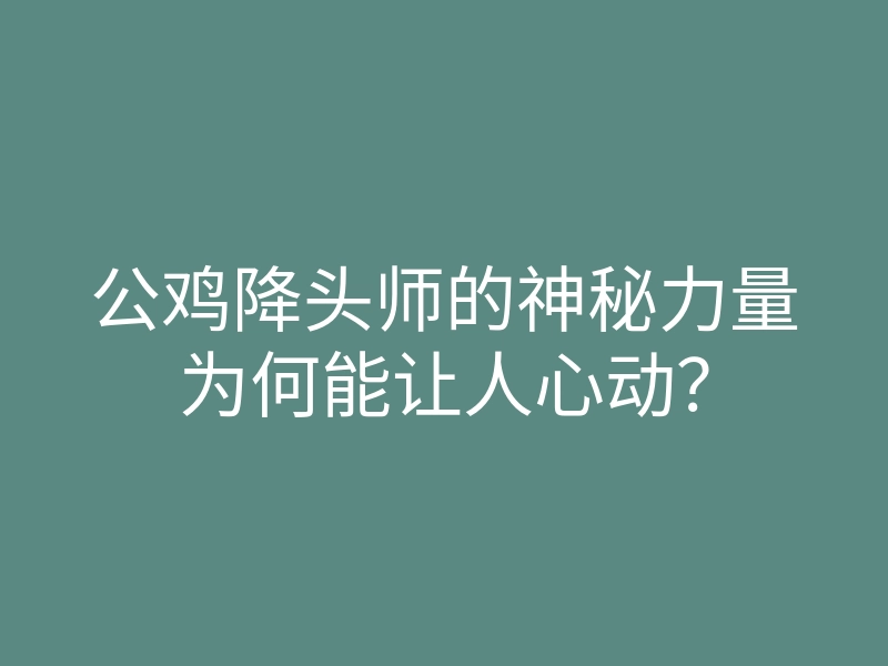公鸡降头师的神秘力量为何能让人心动?