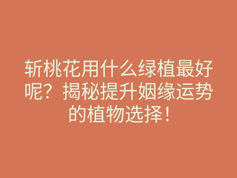 斩桃花用什么绿植最好呢?揭秘提升姻缘运势的植物选择!