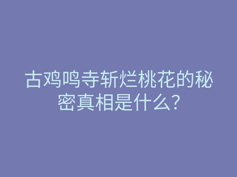 古鸡鸣寺斩烂桃花的秘密真相是什么?