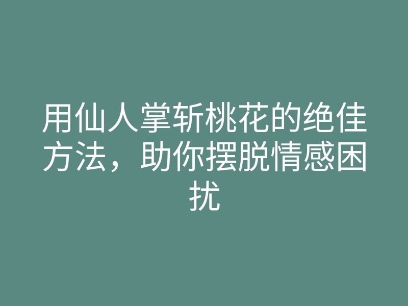 用仙人掌斩桃花的绝佳方法,助你摆脱情感困扰