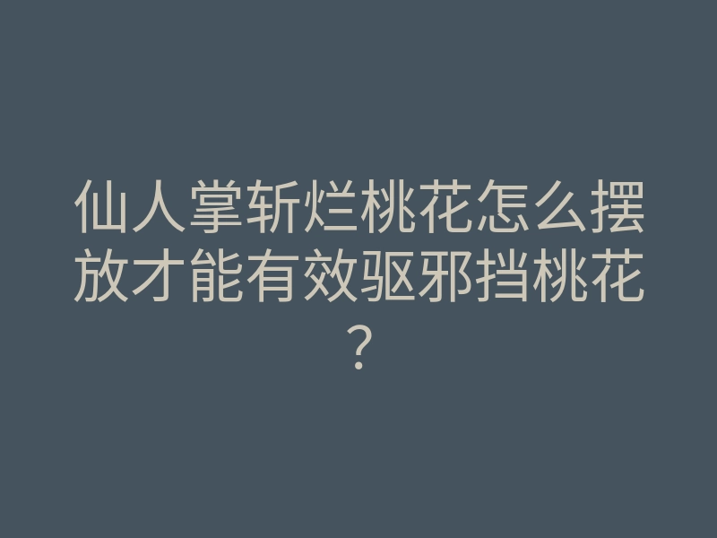 仙人掌斩烂桃花怎么摆放才能有效驱邪挡桃花?