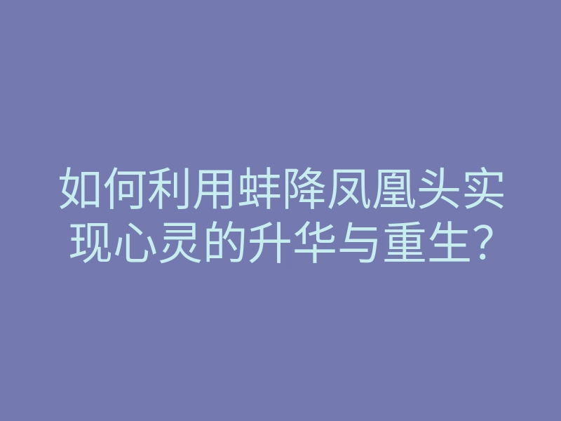 如何利用蚌降凤凰头实现心灵的升华与重生?