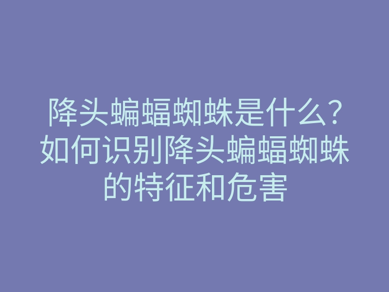 降头蝙蝠蜘蛛是什么？如何识别降头蝙蝠蜘蛛的特征和危害
