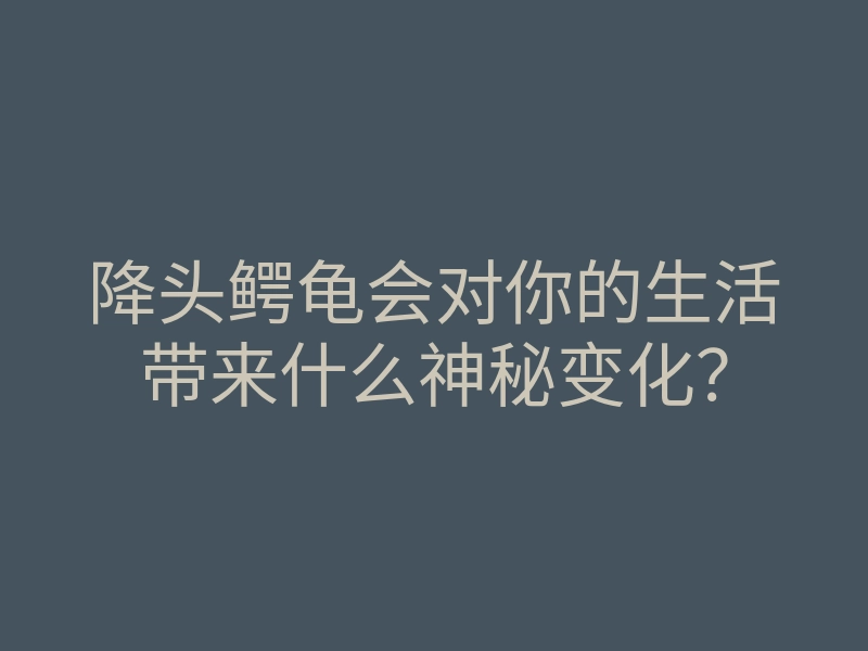 降头鳄龟会对你的生活带来什么神秘变化?