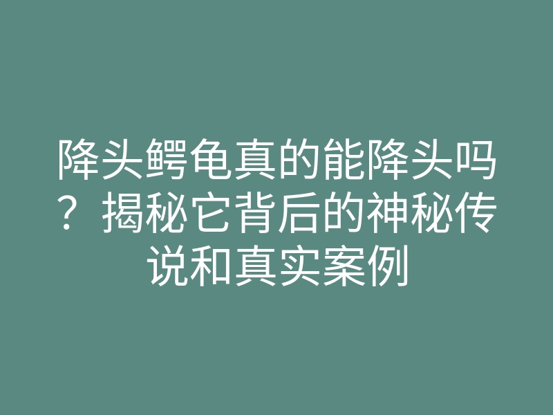 降头鳄龟真的能降头吗?揭秘它背后的神秘传说和真实案例
