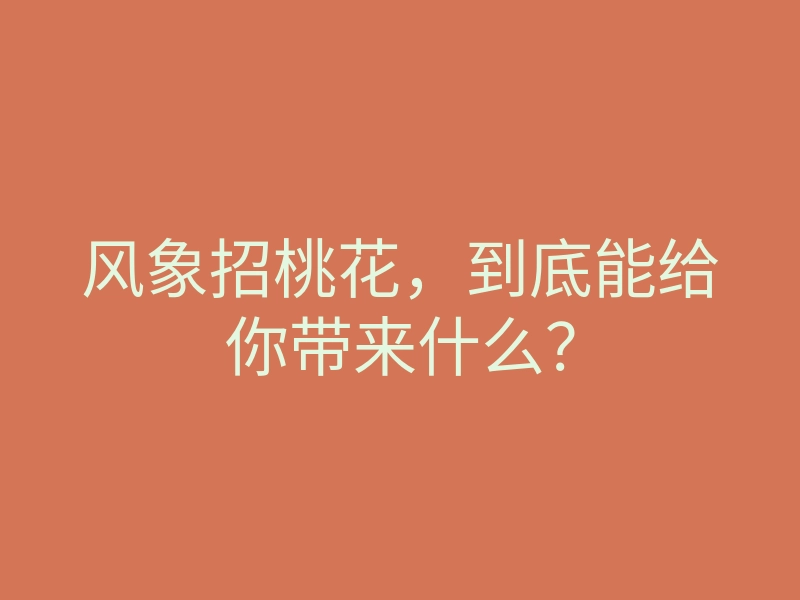 风象招桃花,到底能给你带来什么?