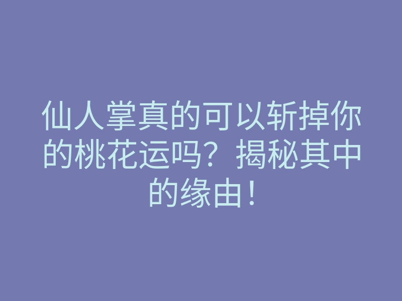 仙人掌真的可以斩掉你的桃花运吗?揭秘其中的缘由!