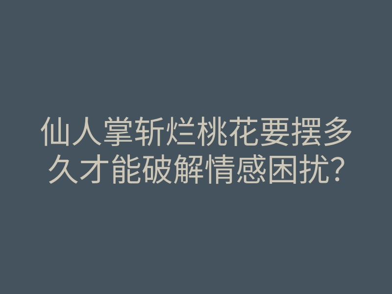 仙人掌斩烂桃花要摆多久才能破解情感困扰?