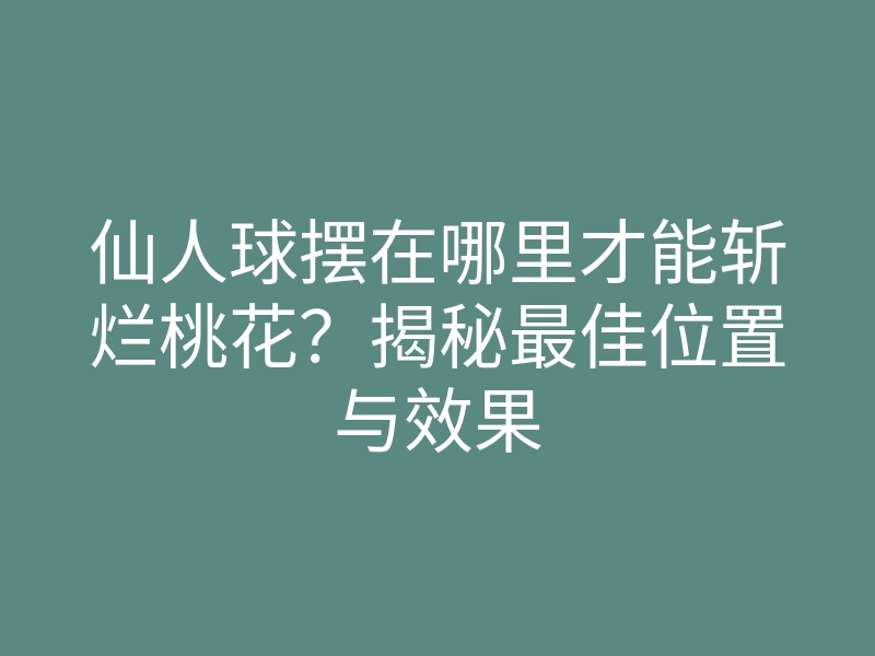 仙人球摆在哪里才能斩烂桃花?揭秘最佳位置与效果
