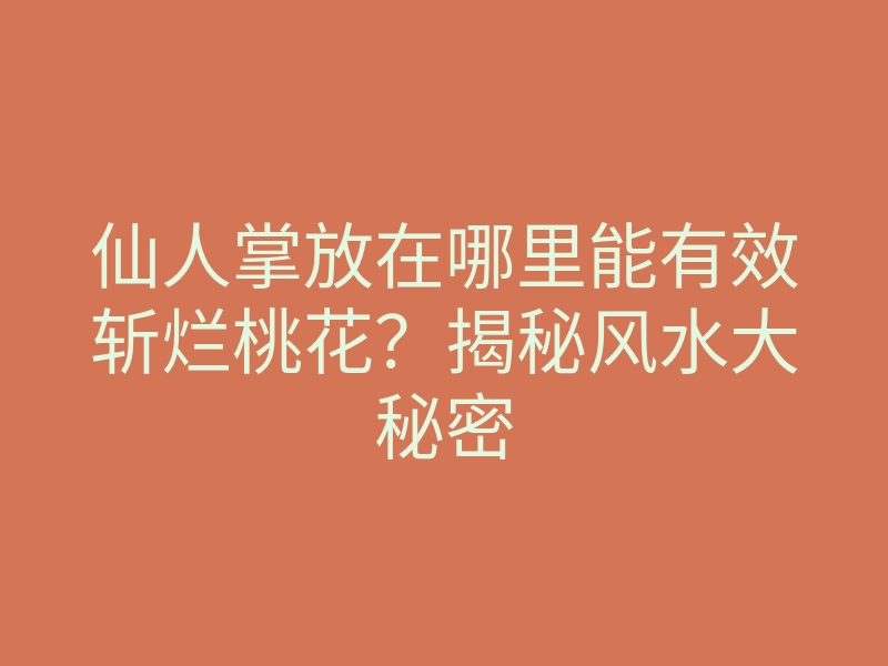 仙人掌放在哪里能有效斩烂桃花?揭秘风水大秘密