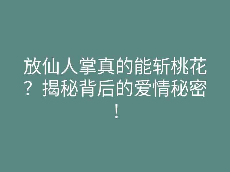 放仙人掌真的能斩桃花?揭秘背后的爱情秘密!