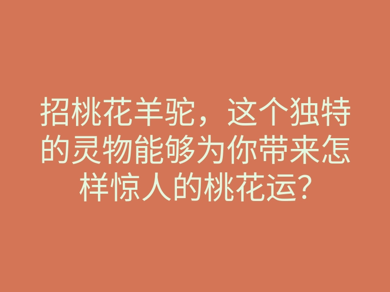 招桃花羊驼,这个独特的灵物能够为你带来怎样惊人的桃花运?