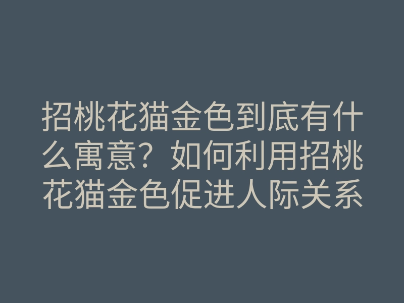 招桃花猫金色到底有什么寓意?如何利用招桃花猫金色促进人际关系和桃花运?