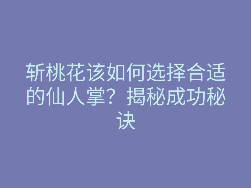 斩桃花该如何选择合适的仙人掌?揭秘成功秘诀