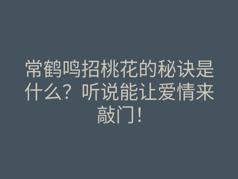 常鹤鸣招桃花的秘诀是什么?听说能让爱情来敲门!