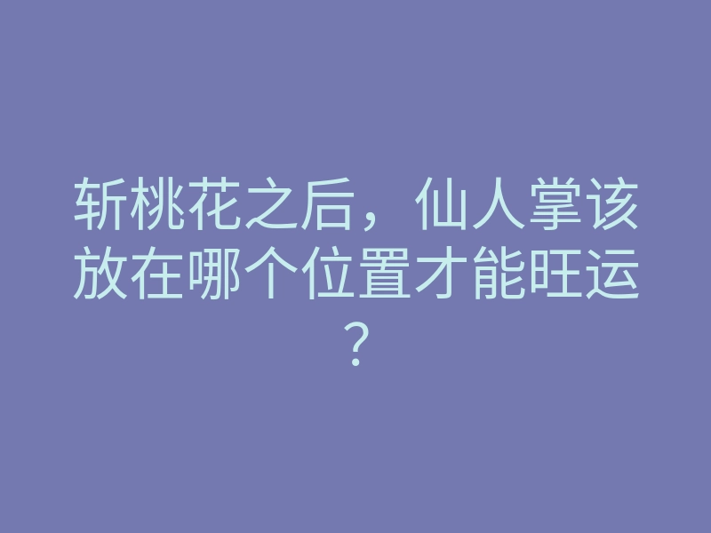 斩桃花之后,仙人掌该放在哪个位置才能旺运?