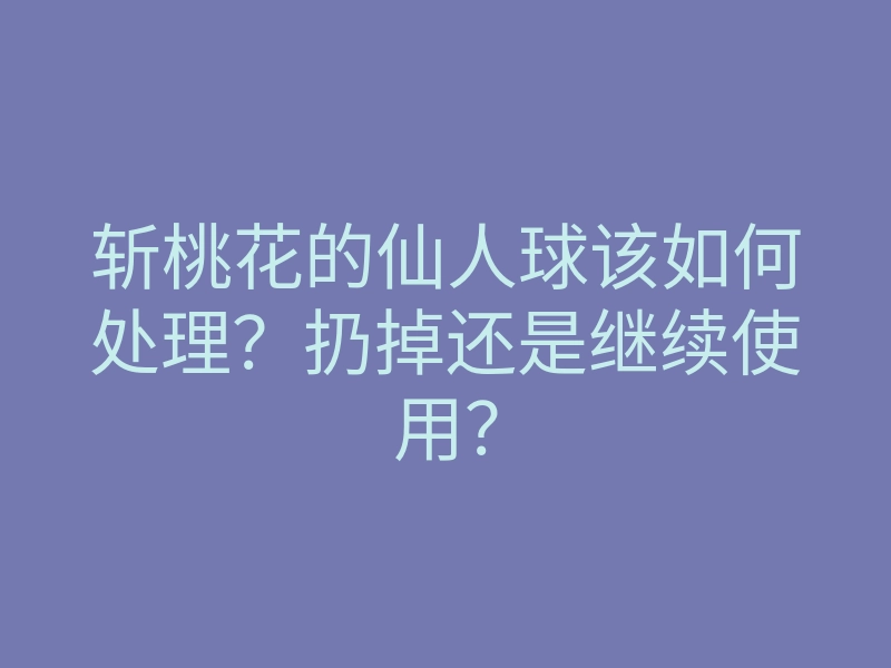 斩桃花的仙人球该如何处理？扔掉还是继续使用？