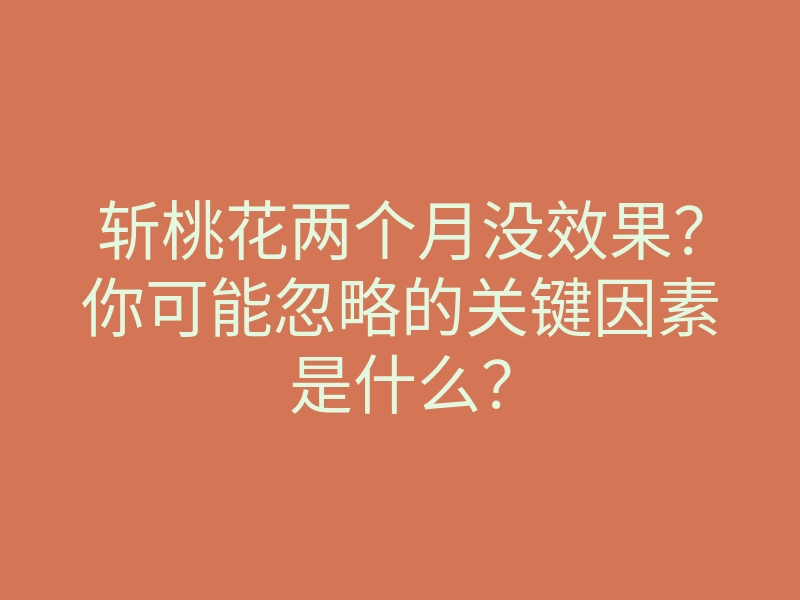 斩桃花两个月没效果?你可能忽略的关键因素是什么?