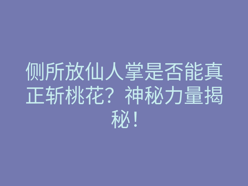 侧所放仙人掌是否能真正斩桃花？神秘力量揭秘！