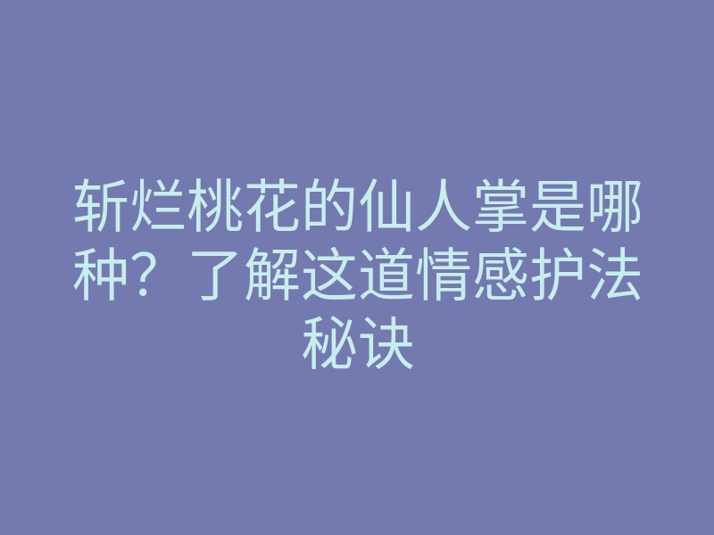 斩烂桃花的仙人掌是哪种?了解这道情感护法秘诀