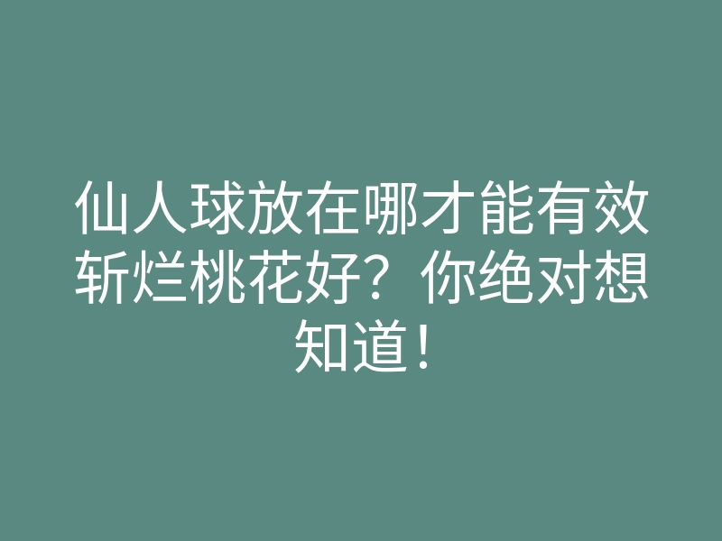 仙人球放在哪才能有效斩烂桃花好?你绝对想知道!