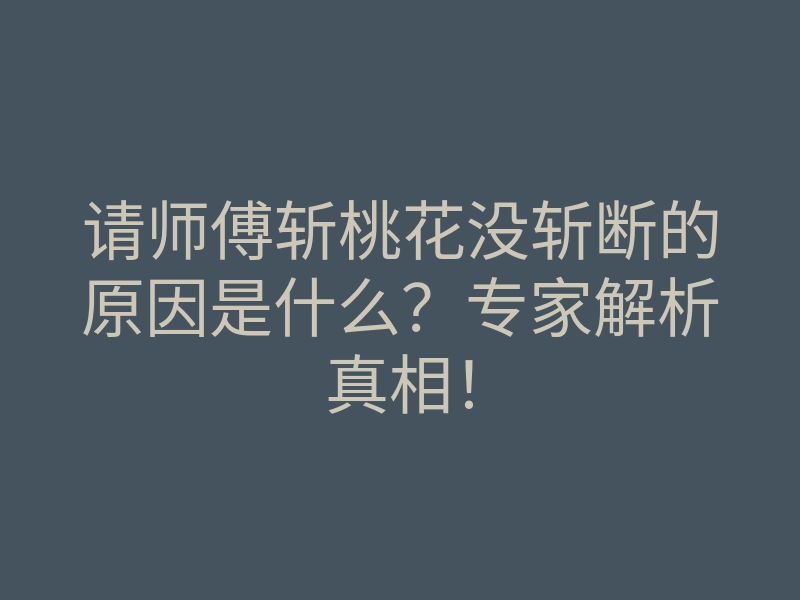 请师傅斩桃花没斩断的原因是什么?专家解析真相!