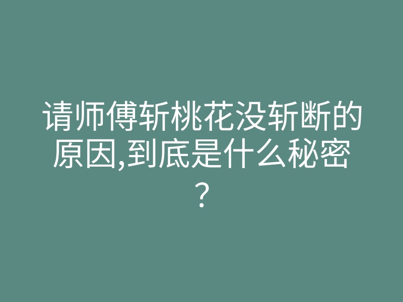 请师傅斩桃花没斩断的原因,到底是什么秘密?