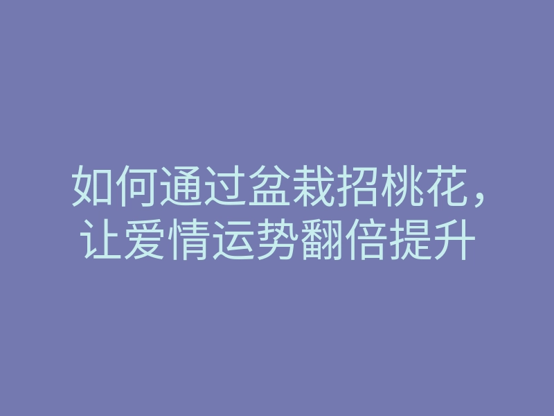 如何通过盆栽招桃花,让爱情运势翻倍提升