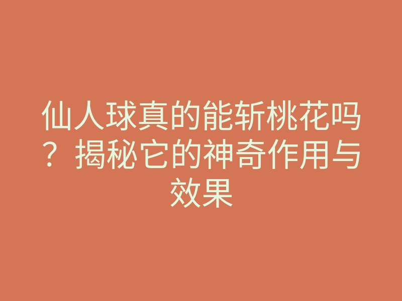 仙人球真的能斩桃花吗?揭秘它的神奇作用与效果