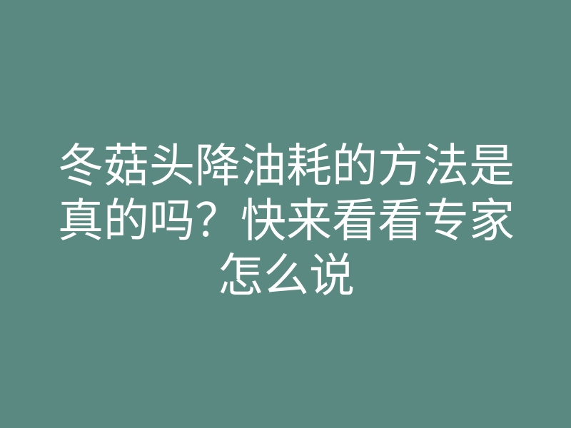冬菇头降油耗的方法是真的吗?快来看看专家怎么说