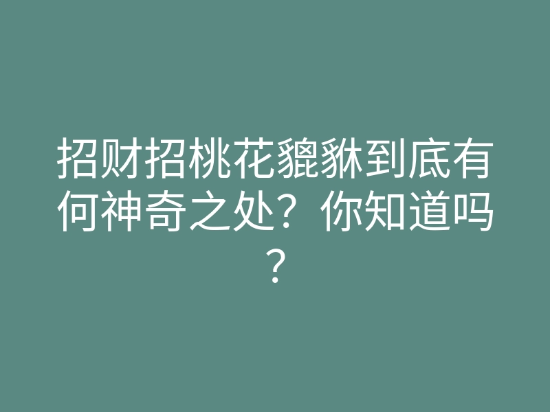 招财招桃花貔貅到底有何神奇之处?你知道吗?